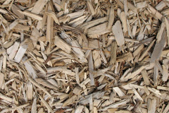 biomass boilers Tallentire